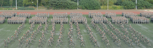 DSC_9953_副本.jpg